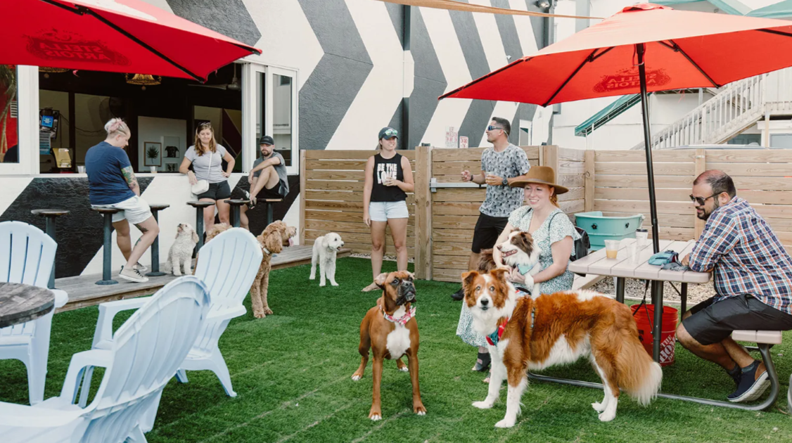 Brews N’ Chews at STACKT Market: Toronto’s Ultimate Dog-Friendly Social Event