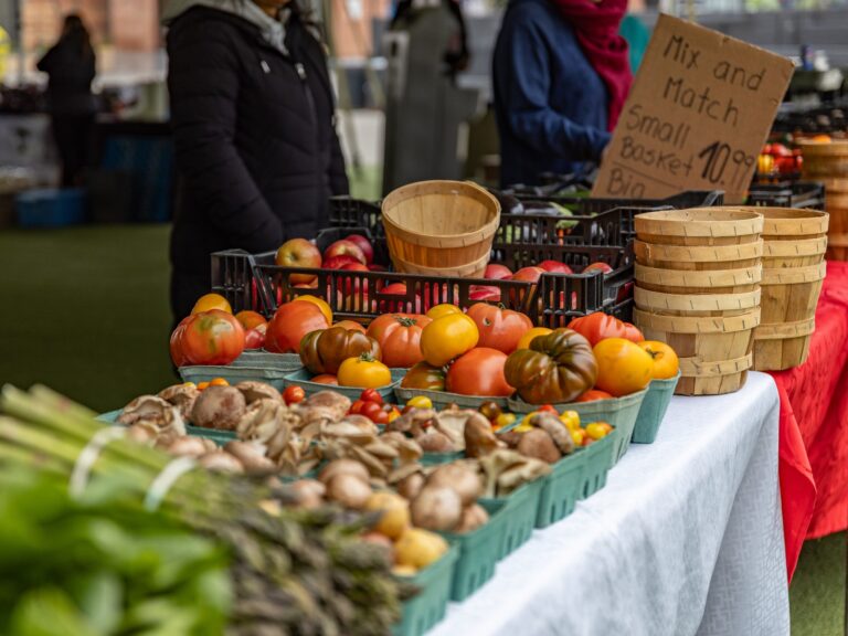 Discover the Magic of Autumn at Toronto’s Water/Fall Festival