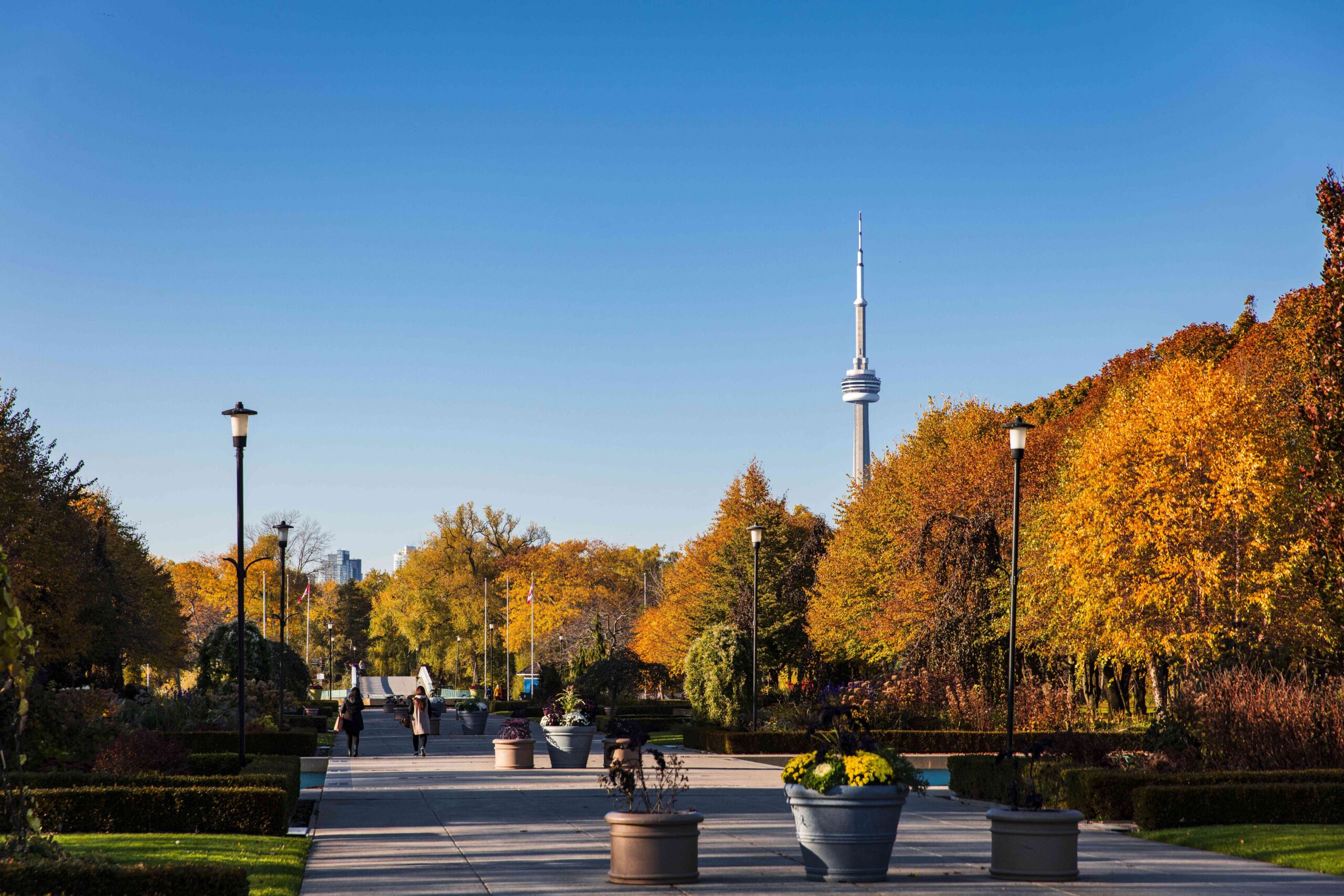 Toronto Weekend Temperatures Will Feel Like 30°C in Rare October Heat Surge
